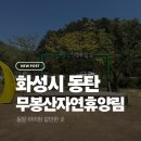 숲속교 앞 | 아이와 가기 좋은 화성 무봉산 자연휴양림｜숲놀이터부터 피크닉까지 힐링 가득