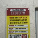 허브점핑 | 점핑다이어트 후기