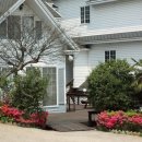 블루마린호텔 이미지