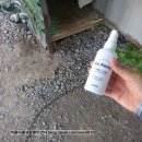 A0006 | 풍덩마켓 3-4월 이벤트 당첨후기♡ (프랭킷 고어웨이 해충방지 스프레이)