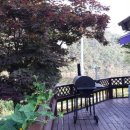 숲속의 하얀펜션 이미지