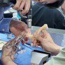 핸즈메디칼 이미지