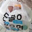 매운사랑중식빠