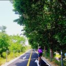 여의서로1길 | 4대강 자전거길 국토종주 후기 인증수첩 발급신청 구매방법 국토종주 시작지점