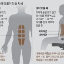 뱃살은 암 위험 신호다 이미지