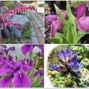 뒷골2로 이미지