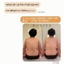 보니예 이미지