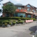산골연잎장어 | 천안 맛집 산골연잎장어