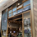 스타애견 이미지