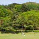 조령산자연휴양림 이미지