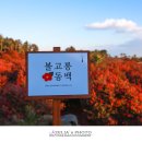 동백호텔 이미지