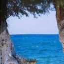 킹 당구클럽 이미지