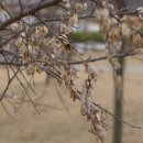 한빛공원 이미지