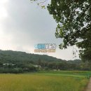 덕양삼거리 이미지