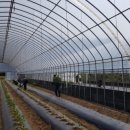 무학검도관 이미지