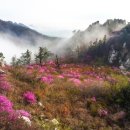 주작산 휴양림 미디어투데이