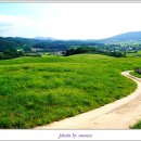 충남목장 이미지