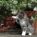 원예테라피 이미지