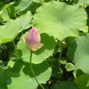 원식농장 이미지