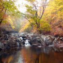 설천면109 이미지