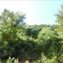 합성동102 이미지