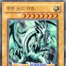 백룡