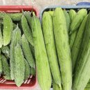 여주-0041 이미지