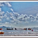 꾸지나무골해수욕장 이미지