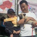 26.5.8요다 수컷 이미지