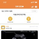 리움여성의원 이미지