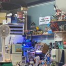 요기소먹으면돼지 이미지