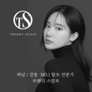 촘촘 스칼프 이미지