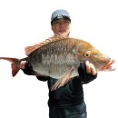 남원읍-75 이미지