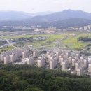 호박1공인중개사사무소 이미지