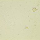 기흥동물병원 이미지