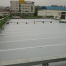 백석초등학교 이미지