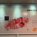 제주4·3 평화기념관 이미지