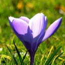 압구정필성형외과의원 이미지