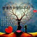 UN 평생 연령 기준 이미지