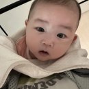 위글위글 집 도산