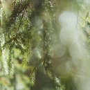 보현산2농장 이미지