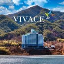 비바체레스토랑 이미지
