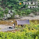 천축산펜션 | 울진 노지 캠핑 차박 파쇄석과 화장실 있는 불영 계곡