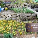지티가든