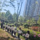 민들레유치원 - 포항시 북구 | 🌿자연속에서 피어난 배움, 부모참여 숲체험 이야기