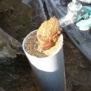 오뚜기체육사 이미지