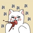 명이비인후과 네이버블로그