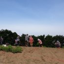 김수자농장 이미지