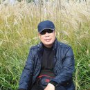 박춘호공인중개사사무소 이미지