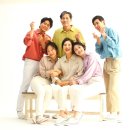 올리브트리 이미지